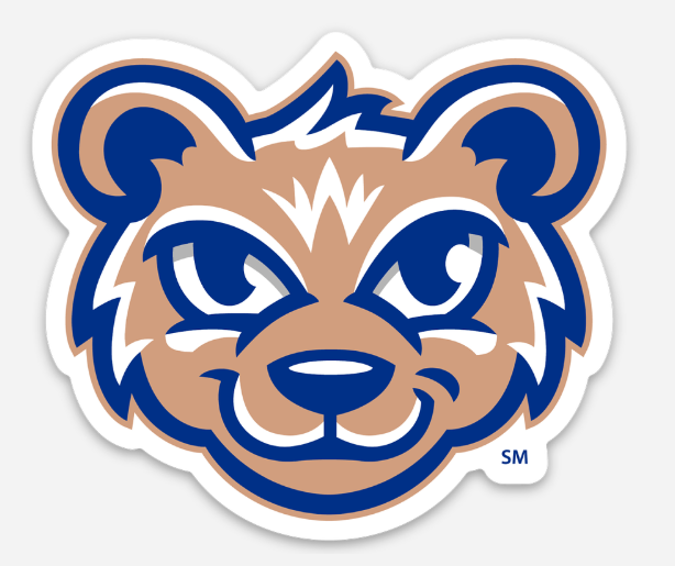 Cheshire Elementary Sticker | 3" Waterproof School Spirit Decal