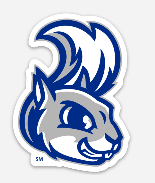 Indian Springs Elementary Sticker | 3" Waterproof School Spirit Decal