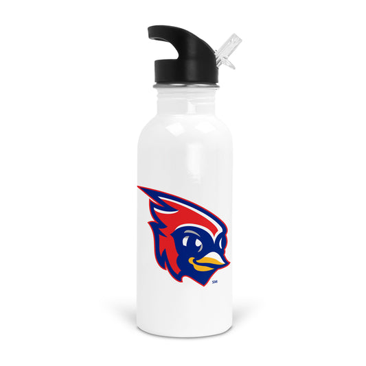 Olentangy Alum Creek Elementary School Insulated Stainless Water Bottle