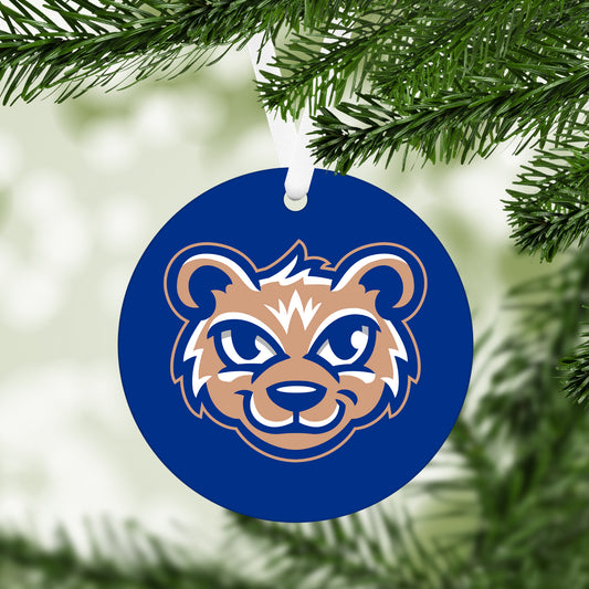 Olentangy Cheshire Elementary School Ornament