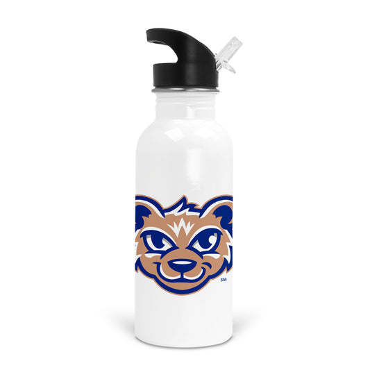 Olentangy Cheshire Elementary School Insulated Stainless Water Bottle