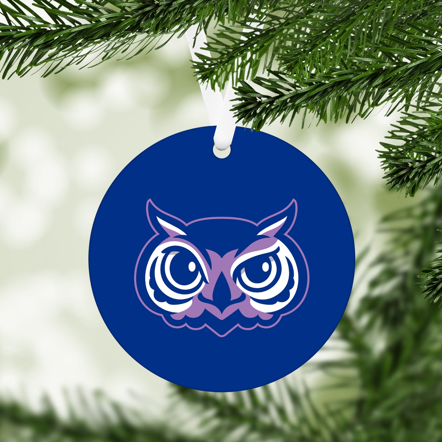 Olentangy Oak Creek Elementary School Ornament