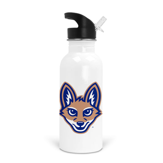 Olentangy Peachblow Crossing Elementary Insulated Stainless Water Bottle