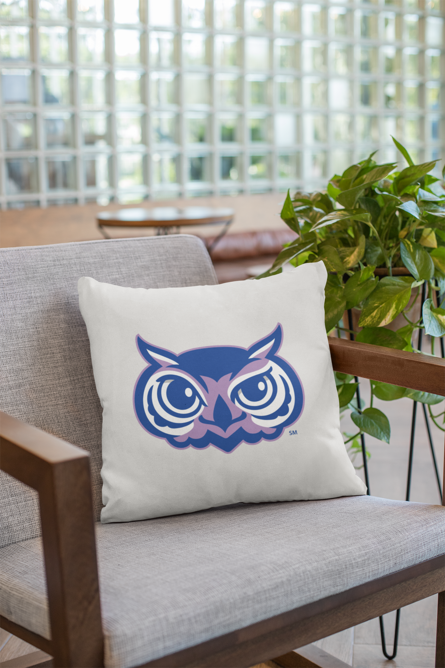 Olentangy Oak Creek Elementary School Owls Throw Pillow