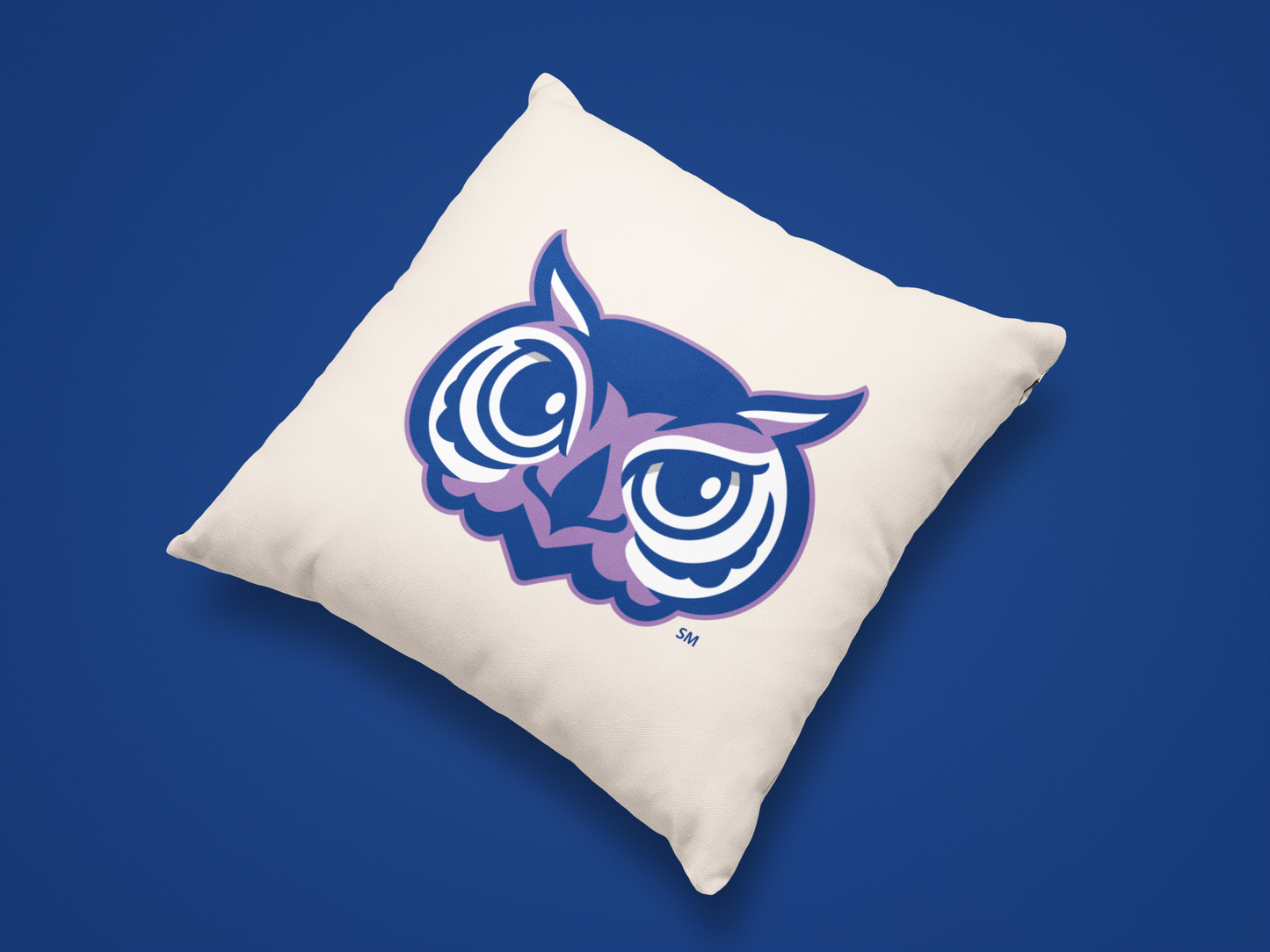 Olentangy Oak Creek Elementary School Owls Throw Pillow