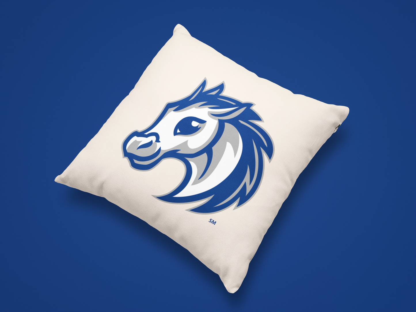 Olentangy Meadows Elementary School Pillow