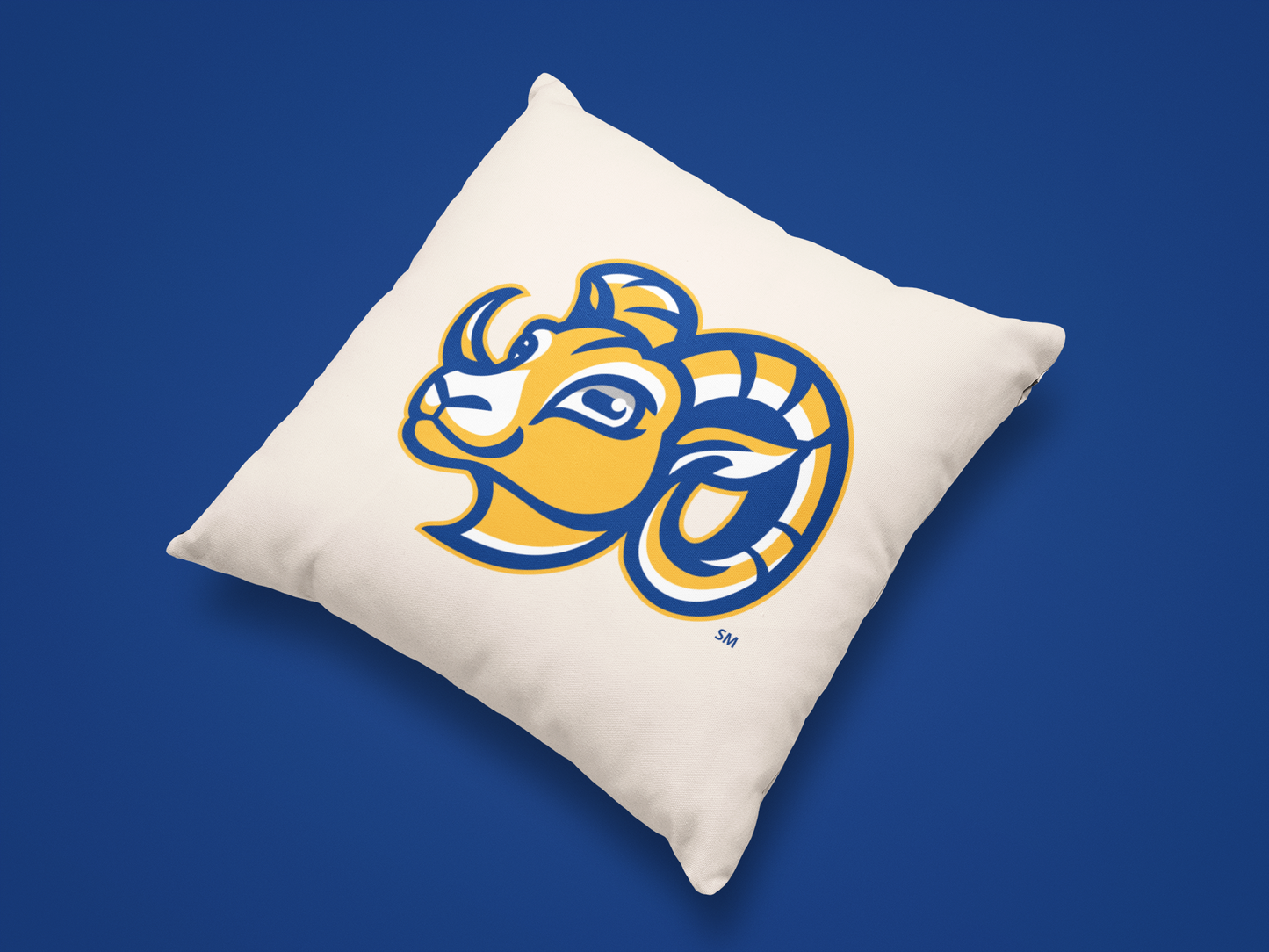 Olentangy Scioto Ridge Elementary School Pillow