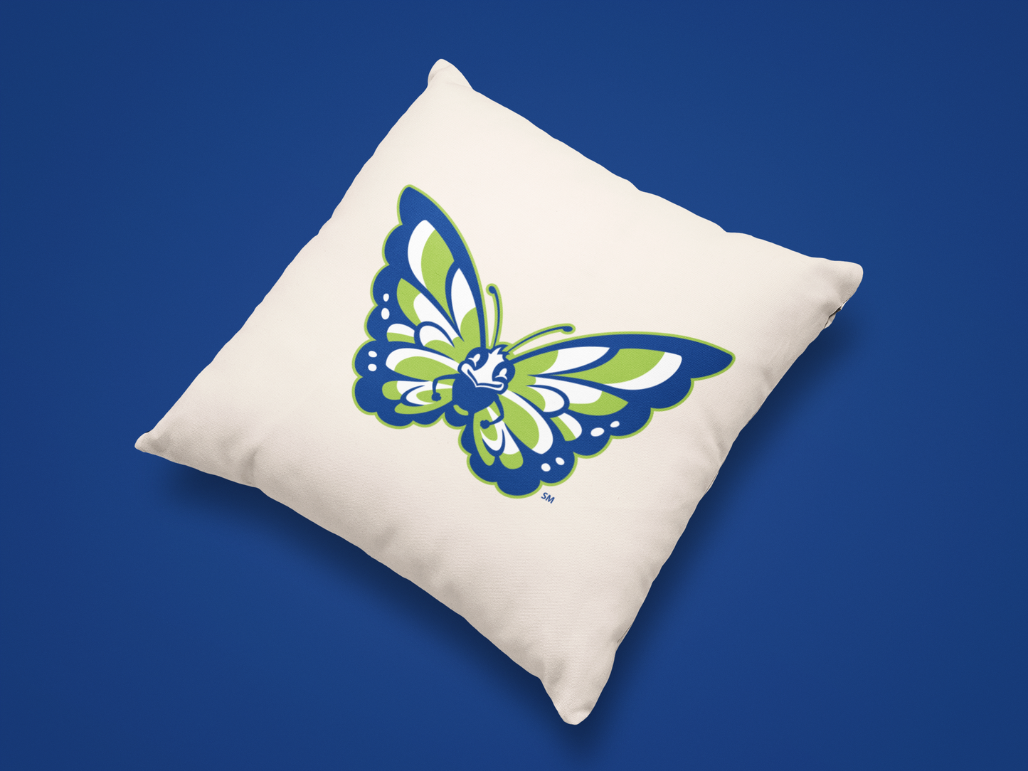 Olentangy Shale Meadows Elementary School Pillow