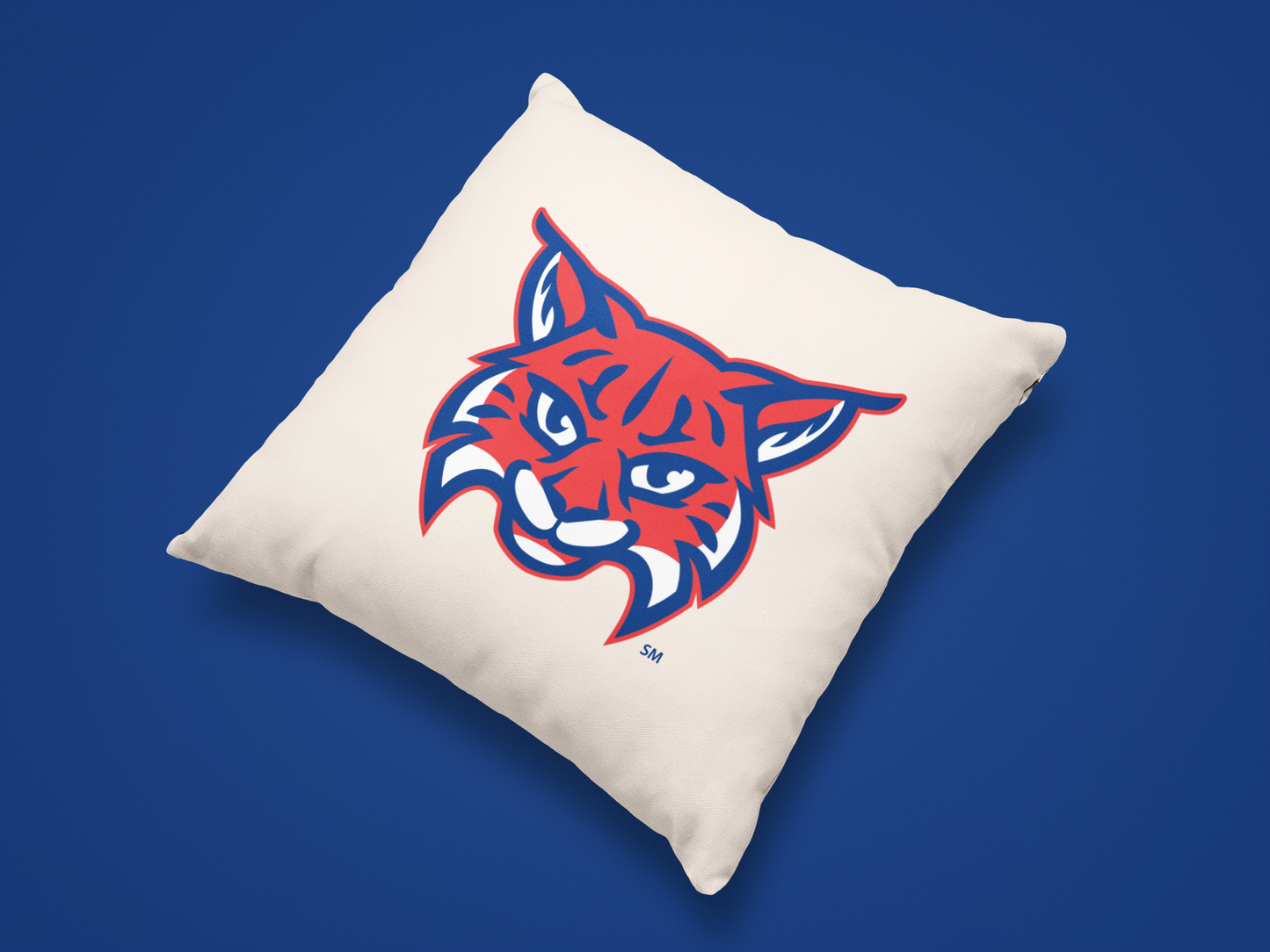 Olentangy Wyandot Run Elementary School Pillow