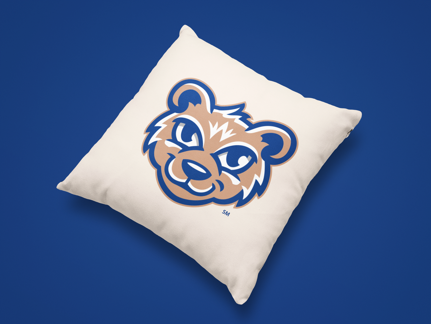 Olentangy Cheshire Elementary School Pillow