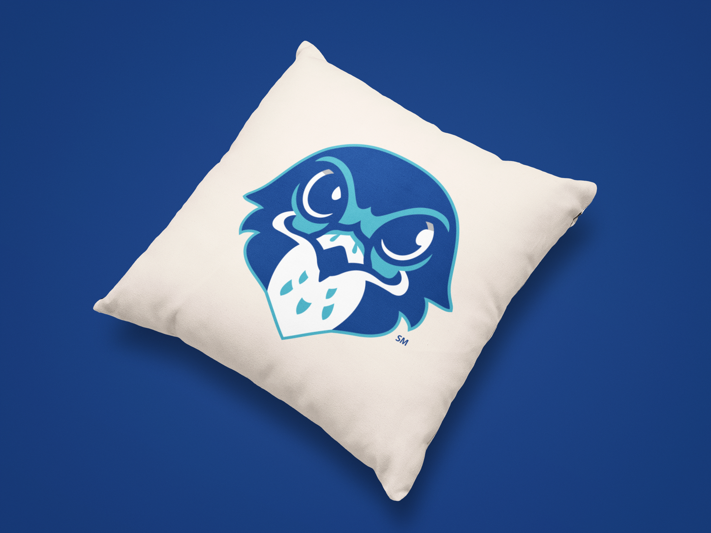 Olentangy Freedom Trail Elementary School Pillow