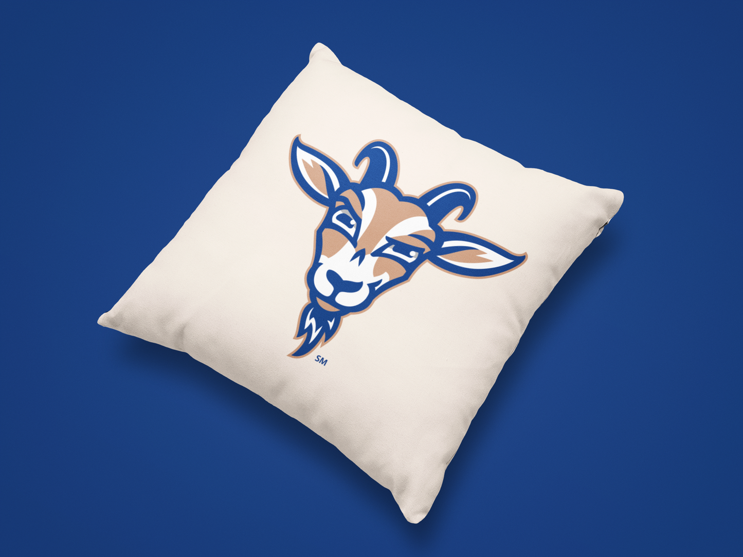 Olentangy Glen Oak Elementary School Pillow