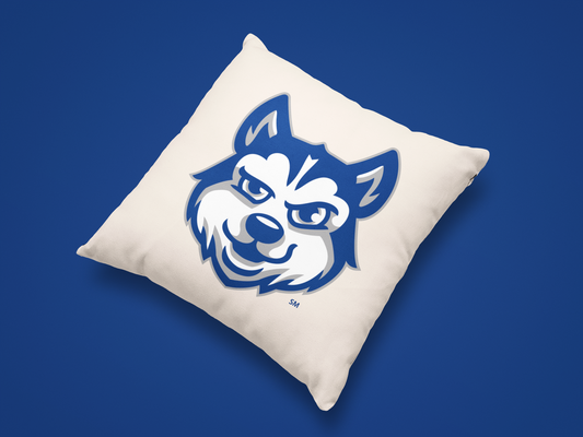 Olentangy Heritage Elementary School Pillow