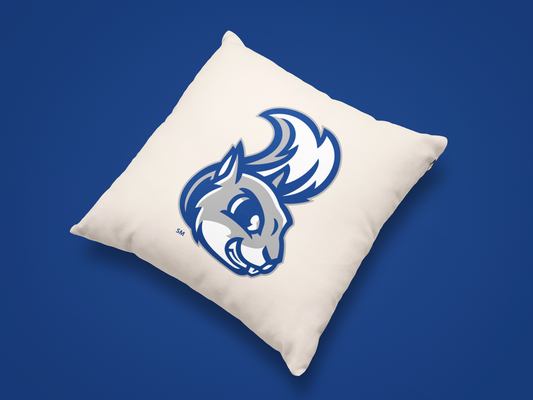 Olentangy Indian Springs Elementary School Pillow