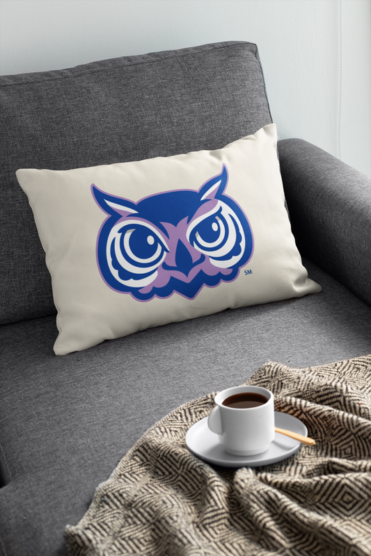 Olentangy Oak Creek Elementary School Owls Lumbar Pillow