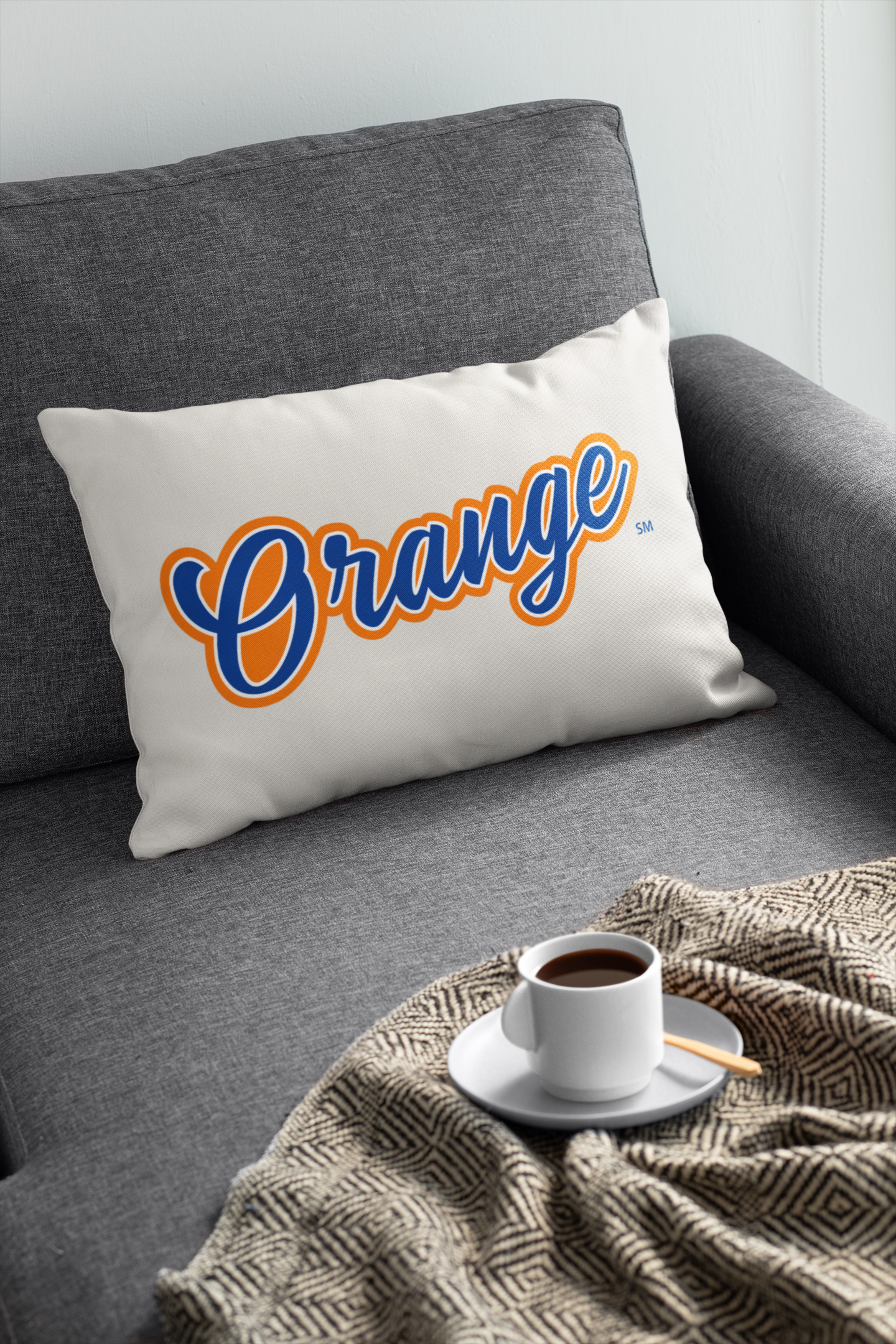 Olentangy Orange High School Pillow